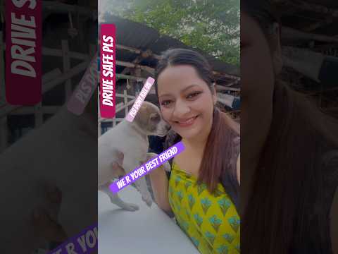 Stray’s deserve loves too #kindnessmatters