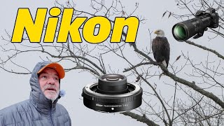 Nikon Z8 600PF with 1.4 Teleconverter Eagles, Cranes & More!