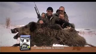 Reportage deChasse extreme au sanglier en Turquie Sus scrofa attila,the wild boar hunting in Turkey.