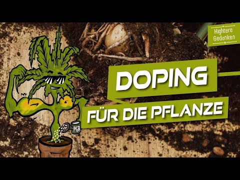 What are PGR fertilizers? - An underestimated danger?