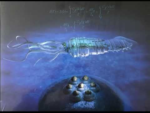 Hugo Rizzo - The Model Entrophy (2008)