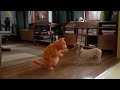 Garfield 2004 HEY Mama Dance