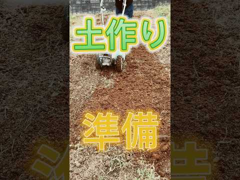 庭のどこにマグノリアを植えるか、日当たりの面、土壌の種類  庭園