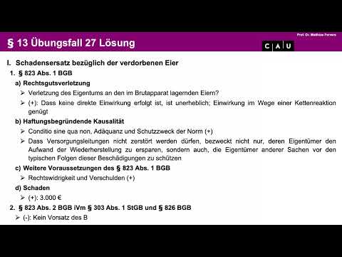 Examenskurs Schuldrecht BT – Folge 28 (Deliktsrecht)