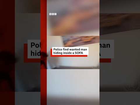 Video | Police find wanted man hiding inside a sofa. #Police #Bedfordshire #BBCNews