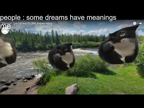 Dreams have meanings