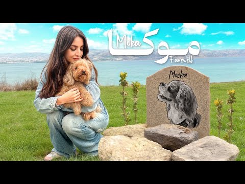 رفتیم پیش موکا🤍درختی به یاد شکموترین  پسر دنیا