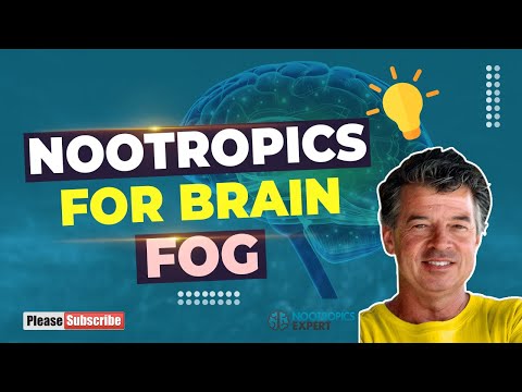 Best nootropics for brain fog