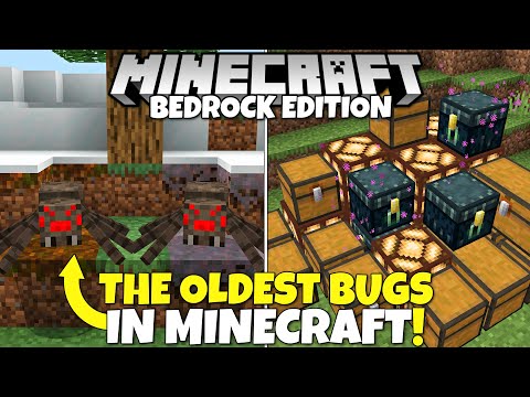 silentwisperer - The OLDEST Bugs In Minecraft History That STILL Aren't Fixed! Minecraft Bedrock Edition
