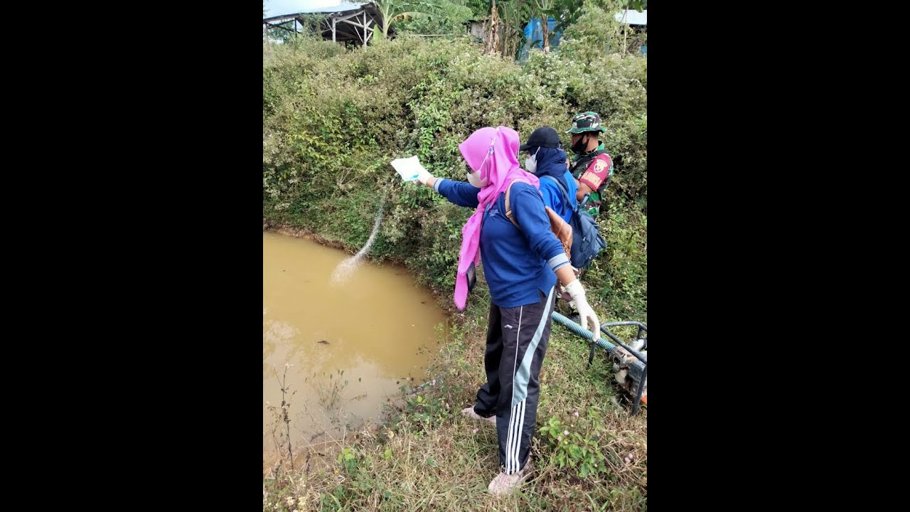 Survey Jentik Nyamuk