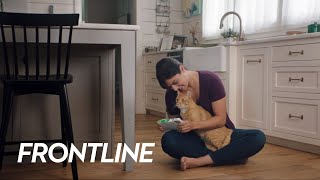 Frontline Combo Spot-On Cat 3 x 0,5 ml