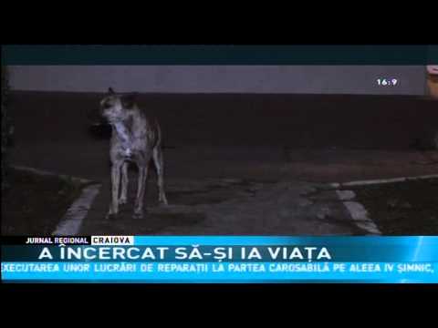 A ÎNCERCAT SĂ-ŞI IA VIAŢA