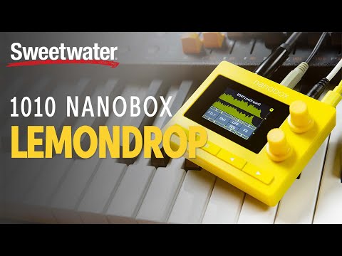 1010 Music Lemondrop Nanobox 4-Voice Granular Synthesizer 2022 - Present - Yellow image 4
