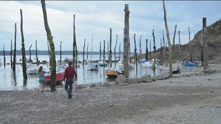 Le Bateau Ivre de Dominique PHILIPPE - Extrait