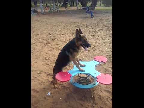 Weld kenitra lbessala f Helala W gaa3 rejlaa