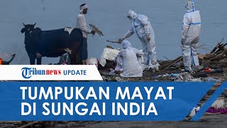 Potret Puluhan Mayat Warga India Menumpuk di Sungai Gangga, Diduga Dibuang karena Tak Mampu Kremasi