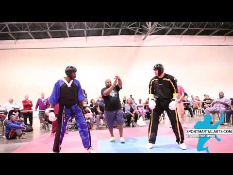 Team Plowden v Lucas Roberts - Men's Team Sparring - 2015 North American Int'l Karate Championships