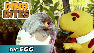 The Egg | Dino Bites | Kids TV Show