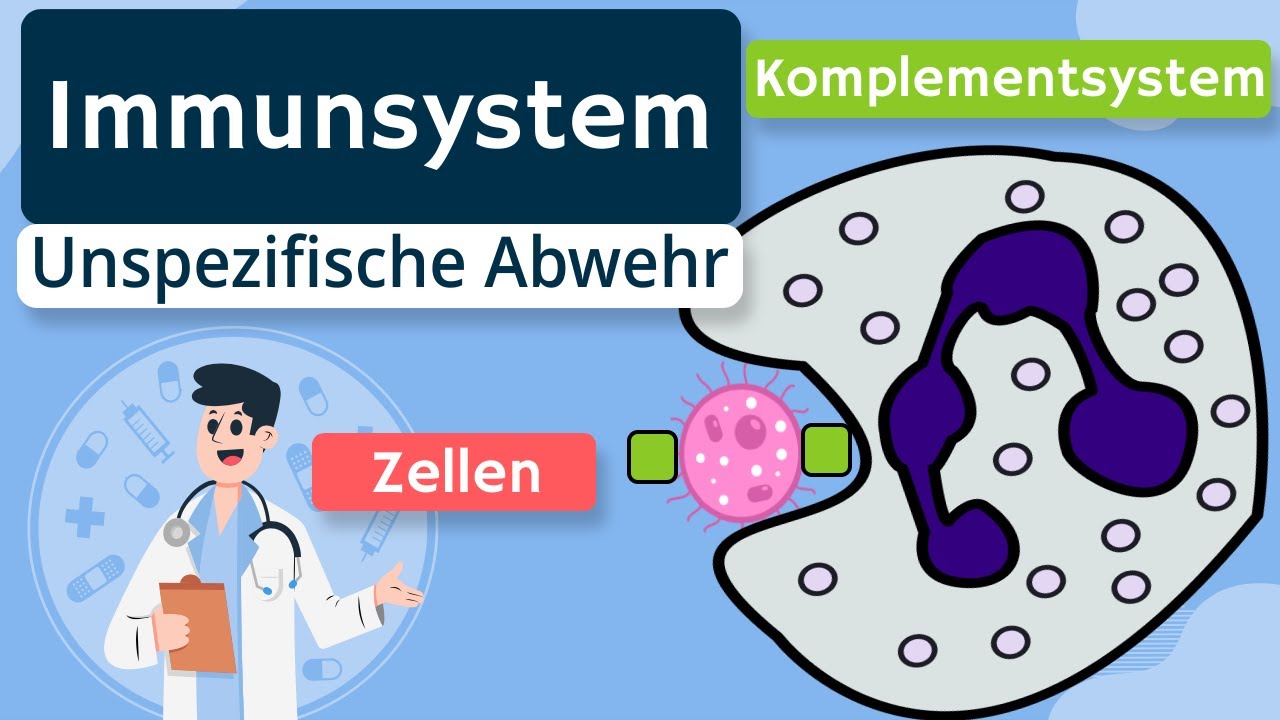Unspezifische Immunabwehr (Zellen, Komplementsystem) - Immunsystem einfach erklärt