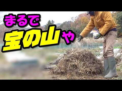 園芸 雑草を堆肥化する