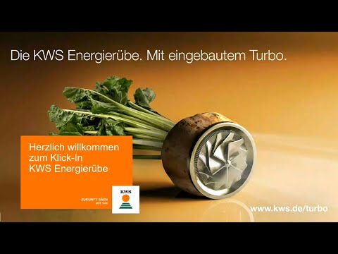 KWS Rüben-Klick-In: Schwerpunkt KWS Energierübe vom 27.02.2023