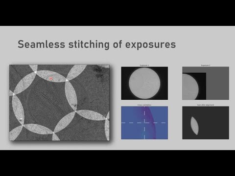 Johannes Elferich, Ph.D. - High-throughput in-situ cryo-EM of hematopoietic differentiation