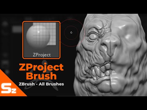 ZProject Brush: ZBrush All Brushes