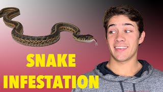 Snake Removal! & Testing Snake Repellant