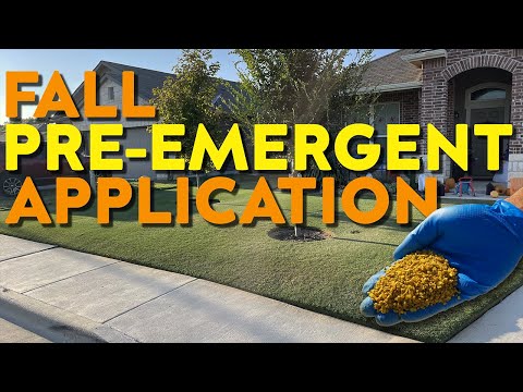 About that Time! Fall Pre-Emergent Application | LESCO STONEWALL Herbicide