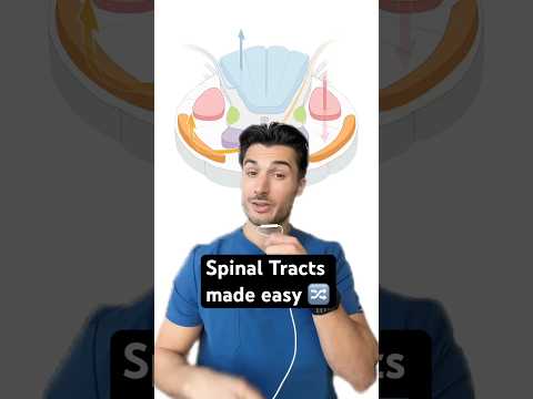 Spinal Tracts made easy 🔀🧠#medstudent #medschool  #neurology #anatomy #usmle #usmlestep1