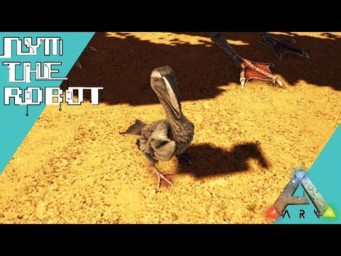 Ichthyornis Taming and Breeding Ark Survival Evolved