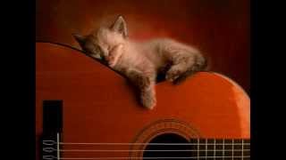 Cel Mai Dulce Cadou Music Video