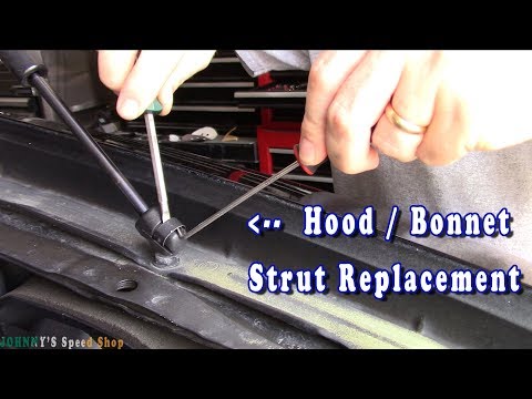 Hood Strut Replacement Titan