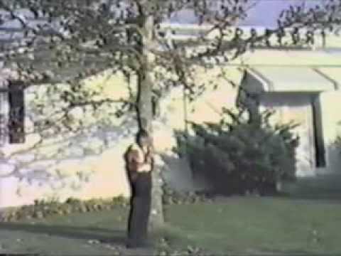 Constantin Draghici - "A cazut o frunza-n calea ta "