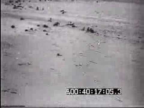 Regia Aeronautica - 4º Stormo in Egypt 1942