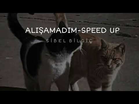 Sibel Bilgiç-Alışamadım (Speed Up)