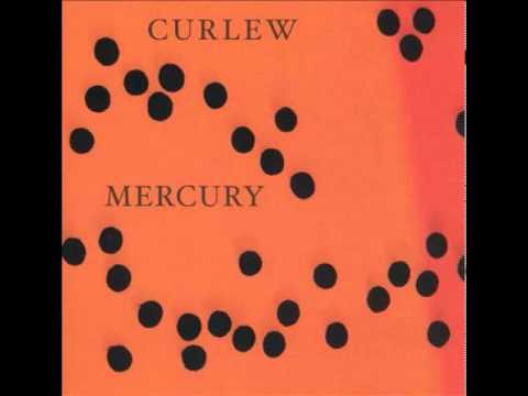 Curlew - Call