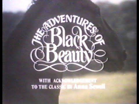 Nickelodeon:  The Adventures of Black Beauty