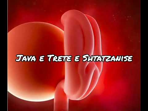 Java e Trete e Shtatzanise. Cfare ndodh gjate kesaj jave?