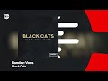 Black Cats - Randez-Vous | بلک کتس - راندوو OFFICIAL TRACK