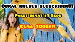 Download lagu OBRAL PAKET HEMAT KHUSUS SUSCRIBER!! #kenarimania #kenarimania #kicaumania #kenarigacor mp3 Download lagu OBRAL PAKET HEMAT KHUSUS SUSCRIBER!! #kenarimania #kenarimania #kicaumania #kenarigacor mp3