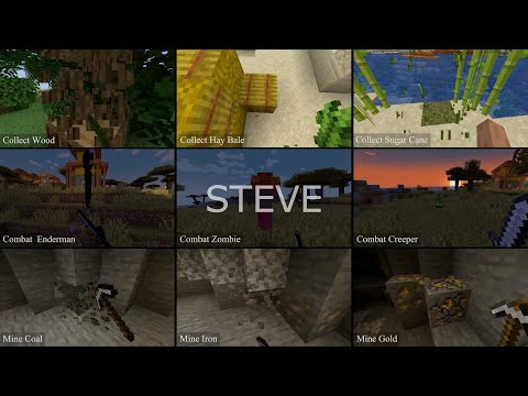 STEVE preview