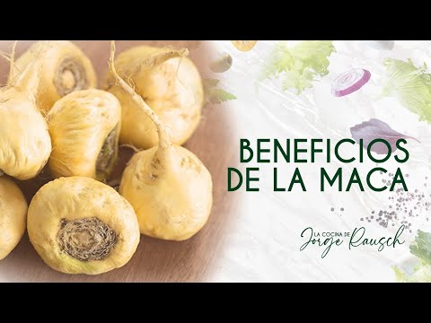 Benefits of maca / 30 Healthy foods with Jorge Rausch
