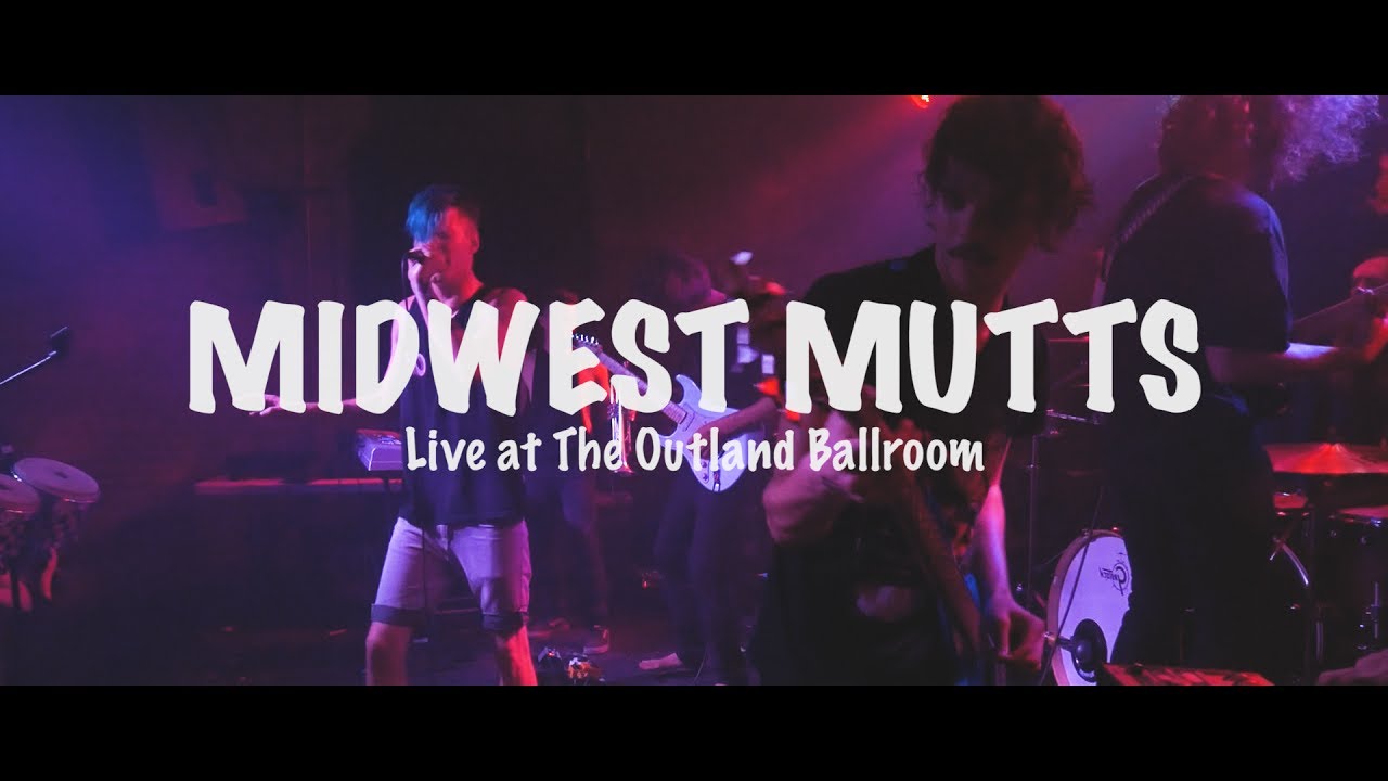 Promotional video thumbnail 2 for Midwest Mutts
