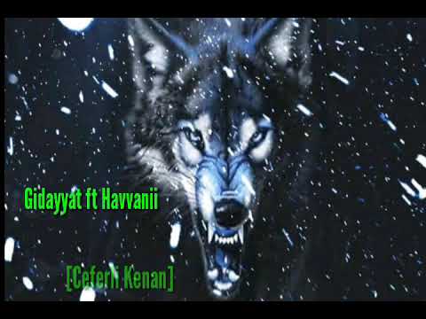 Gidayyat ft Havvanii сомбреро [Ceferli Kenan]