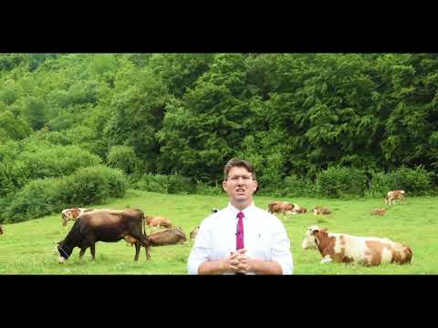 Emri  i Allahut الكريم “Bujari dhe Fisniku absolut” Teolog: Rexhep Bytyqi.