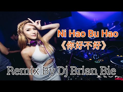 Ni Hao Bu Hao - 你好不好 (Electro Manyao) By Dj Brian Bie #dj #manyaoremix #manyaodj #electronicmusic