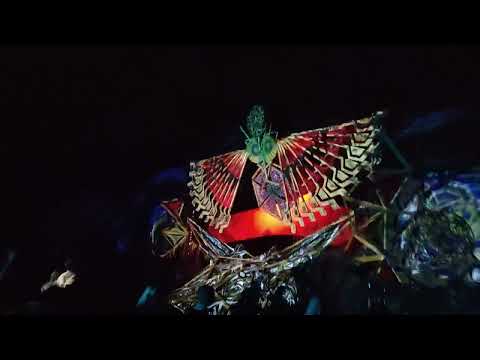 future ripples live @camakavum festival 2022