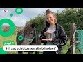 Jente vond een zeldzame reuzenteek op haar pony