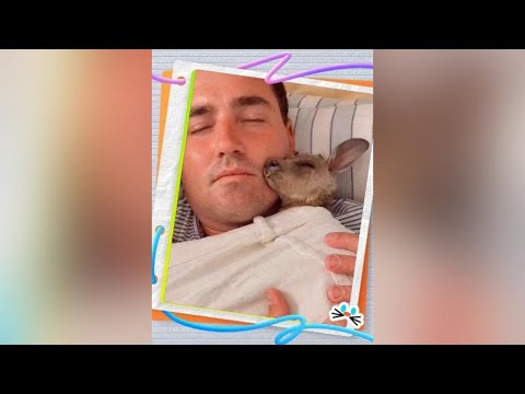 A Deep Connection Across Species: The Heartwarming Bond Between a Couple and the Rescued Joey The...